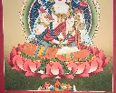 IMG_0891b.webp