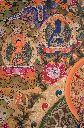 IMG_2419.webp