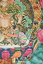 DSC_6374.webp