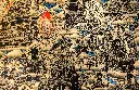 IMG_5428.webp