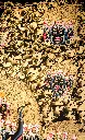 IMG_5410.webp